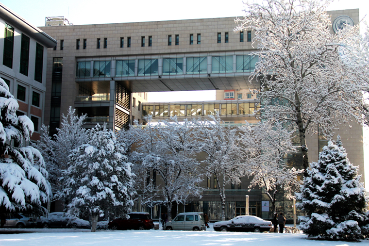 中財雪景浮光掠影新韻清風